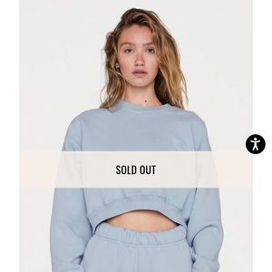 set active cropped crewneck